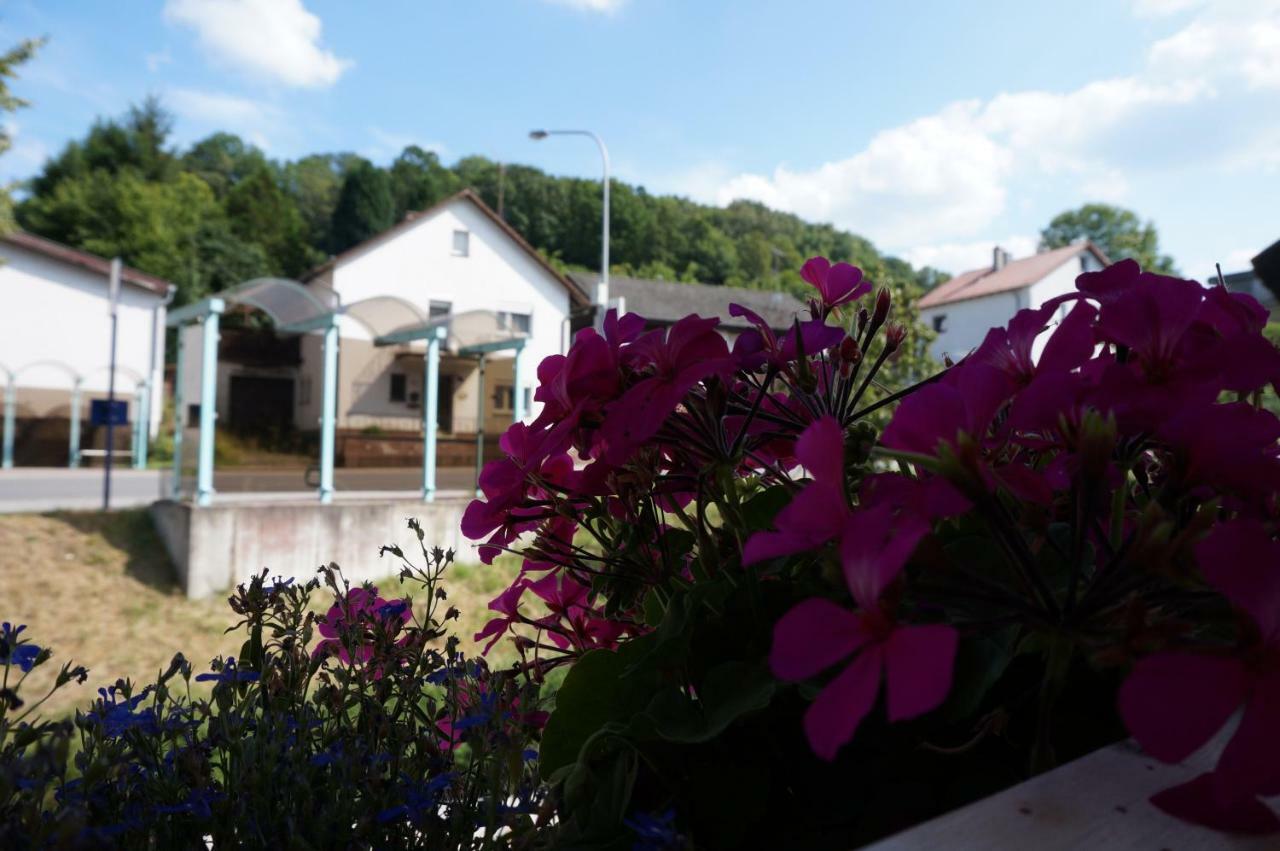 Die Schoenste Unterkunft Im Odenwald Apartment ภายนอก รูปภาพ
